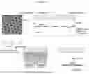 Fig. 08 - Patterned flow-cells useful for nucleic acid analysis
