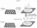 Fig. 11 - Patterned flow-cells useful for nucleic acid analysis