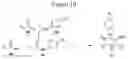 Fig. 12 - Patterned flow-cells useful for nucleic acid analysis