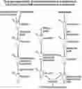 Fig. 01 - Methods for detection of antibiotic resistant 