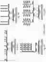 Fig. 09 - METHODS OF DETECTING NUCLEIC ACID SEQUENCES WITH HIGH SPECIFICITY