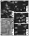 Fig. 13 - METHODS OF DETECTING NUCLEIC ACID SEQUENCES WITH HIGH SPECIFICITY