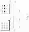 Fig. 22 - METHODS OF DETECTING NUCLEIC ACID SEQUENCES WITH HIGH SPECIFICITY