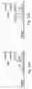 Fig. 33 - METHODS OF DETECTING NUCLEIC ACID SEQUENCES WITH HIGH SPECIFICITY
