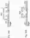 Fig. 35 - METHODS OF DETECTING NUCLEIC ACID SEQUENCES WITH HIGH SPECIFICITY