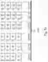 Fig. 52 - METHODS OF DETECTING NUCLEIC ACID SEQUENCES WITH HIGH SPECIFICITY