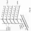 Fig. 55 - METHODS OF DETECTING NUCLEIC ACID SEQUENCES WITH HIGH SPECIFICITY