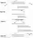 Fig. 05 - Compositions and methods for selection of nucleic acids