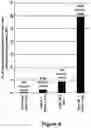 Fig. 06 - Compositions and methods for selection of nucleic acids