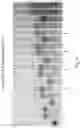 Fig. 07 - MODIFIED NUCLEOTIDES