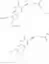 Fig. 09 - MODIFIED NUCLEOTIDES