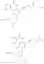 Fig. 19 - MODIFIED NUCLEOTIDES