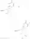 Fig. 41 - MODIFIED NUCLEOTIDES