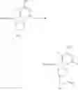 Fig. 47 - MODIFIED NUCLEOTIDES