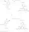 Fig. 51 - MODIFIED NUCLEOTIDES