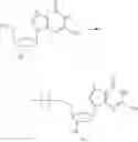 Fig. 52 - MODIFIED NUCLEOTIDES