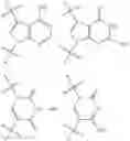 Fig. 71 - MODIFIED NUCLEOTIDES