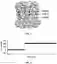 Fig. 04 - NANOPORE ASSEMBLIES AND USES THEREOF