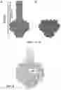 Fig. 05 - NANOPORE ASSEMBLIES AND USES THEREOF