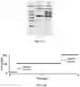 Fig. 08 - NANOPORE ASSEMBLIES AND USES THEREOF