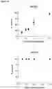 Fig. 19 - Type V CRISPR/Cas effector proteins for cleaving ssDNAs and detecting target DNAs