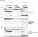 Fig. 26 - Type V CRISPR/Cas effector proteins for cleaving ssDNAs and detecting target DNAs