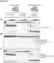 Fig. 42 - Type V CRISPR/Cas effector proteins for cleaving ssDNAs and detecting target DNAs