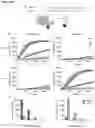 Fig. 48 - Type V CRISPR/Cas effector proteins for cleaving ssDNAs and detecting target DNAs