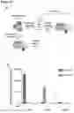 Fig. 50 - Type V CRISPR/Cas effector proteins for cleaving ssDNAs and detecting target DNAs