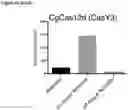 Fig. 55 - Type V CRISPR/Cas effector proteins for cleaving ssDNAs and detecting target DNAs