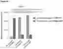 Fig. 56 - Type V CRISPR/Cas effector proteins for cleaving ssDNAs and detecting target DNAs