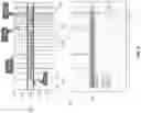 Fig. 04 - SYSTEMS AND METHODS FOR USING DENSITY OF SINGLE NUCLEOTIDE VARIATIONS FOR THE VERIFICATION OF COPY NUMBER VARIATIONS IN HUMAN EMBRYOS