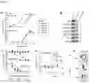 Fig. 06 - METHODS OF PREDICTING PREDISPOSITION TO OR RISK OF KIDNEY DISEASE