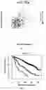 Fig. 08 - Methods for the in vitro determination of the outcome and for the treatment of individuals having multiple myeloma