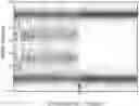 Fig. 01 - METHODS AND MATERIALS FOR ASSESSING LOSS OF HETEROZYGOSITY