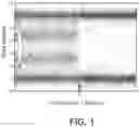 Fig. 02 - METHODS AND MATERIALS FOR ASSESSING LOSS OF HETEROZYGOSITY