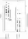 Fig. 08 - METHODS AND MATERIALS FOR ASSESSING LOSS OF HETEROZYGOSITY