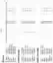 Fig. 07 - Gene controlling shell phenotype in palm