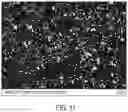 Fig. 12 - Functionally graded metal matrix nanocomposites, and methods for producing the same