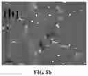 Fig. 09 - Magnesium alloy and preparation method thereof