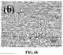 Fig. 12 - Magnesium alloy and preparation method thereof