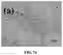 Fig. 13 - Magnesium alloy and preparation method thereof