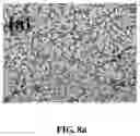 Fig. 15 - Magnesium alloy and preparation method thereof