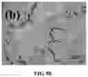 Fig. 16 - Magnesium alloy and preparation method thereof