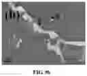 Fig. 19 - Magnesium alloy and preparation method thereof
