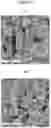 Fig. 03 - Hot-rolled coated steel sheet with excellent workability and manufacturing method therefor