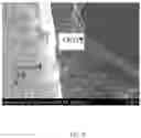 Fig. 10 - Metal matrix composite comprising nanotubes and method of producing same