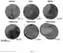 Fig. 02 - NICKEL ALLOY PLATING