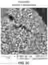 Fig. 04 - METHODS FOR EXTRACTING LITHIUM FROM SPODUMENE