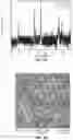Fig. 06 - METHODS FOR EXTRACTING LITHIUM FROM SPODUMENE